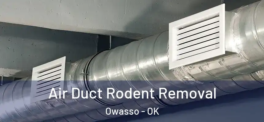  Air Duct Rodent Removal Owasso - OK