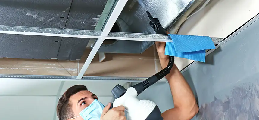 Our Air Duct Rodent Removal Services in Owasso, OK