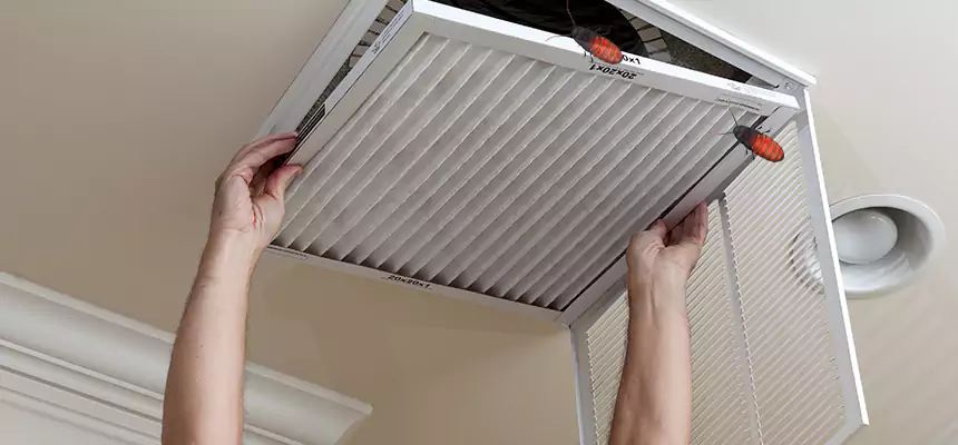 Our Insect Removal from Air Ducts Services in Owasso, OK