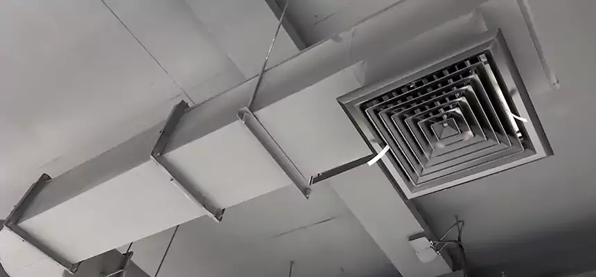 Our Pest Removal From Ducts Services in Owasso, OK