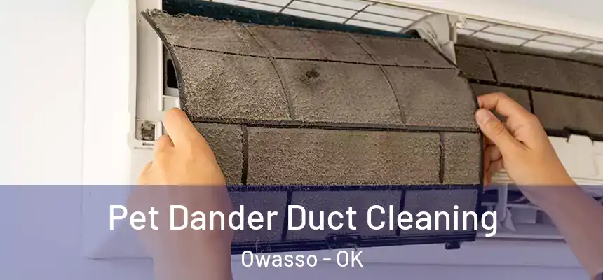 Pet Dander Duct Cleaning Owasso - OK