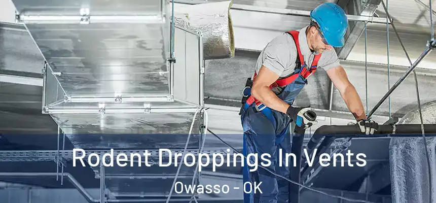  Rodent Droppings In Vents Owasso - OK