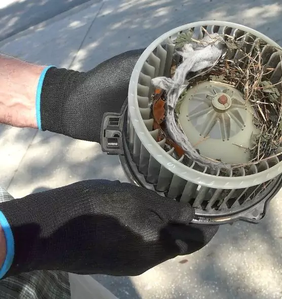 About Air Duct Rat Removal in Owasso, OK