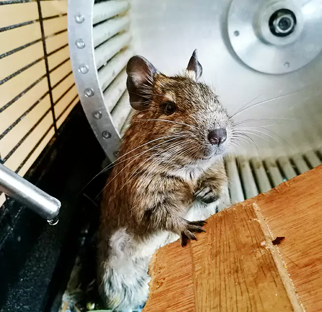 Why Homeowners & Businesses Trust Us Owasso, OK?